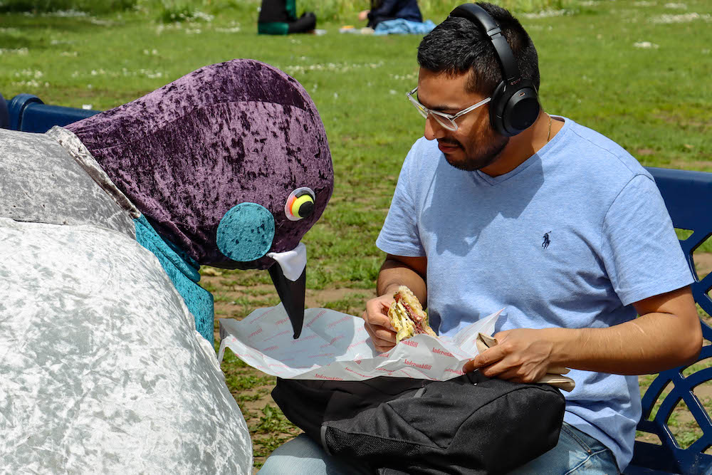 CBD City worker Kaj enjoys lunch with Food Festival pigeons Pic 2 Giant Pigeons Wreak Havoc On Lunching Workers