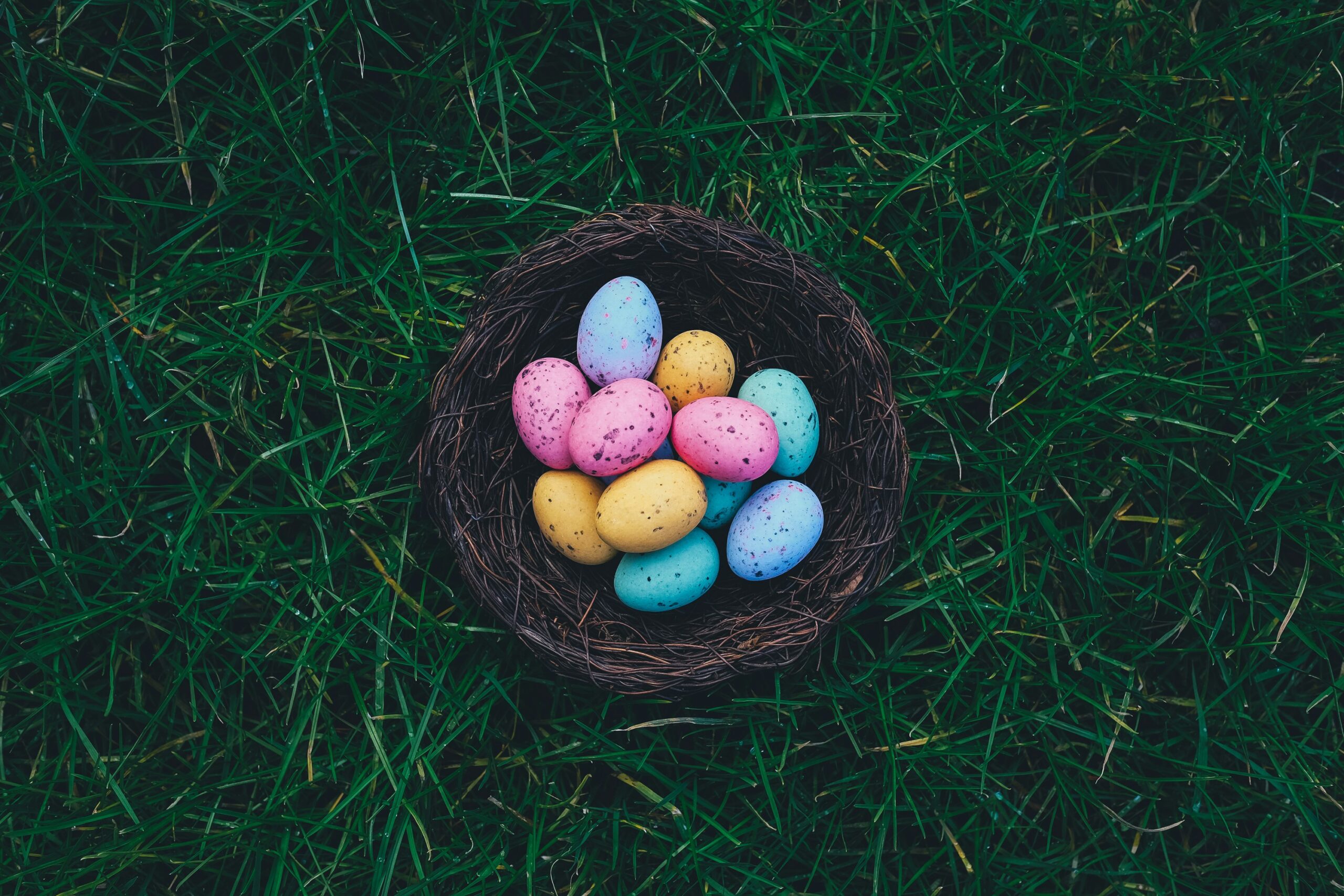 annie spratt 43o1KVbOWXA unsplash