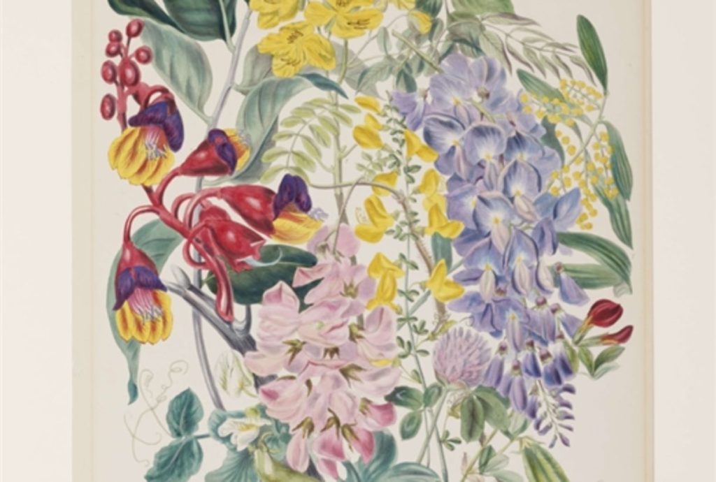 City Curator Highlights: Week Five 4 Barber City Curator Highlights: Week Five