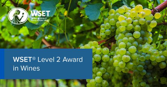 WSET Level 2 Wine Course April-May 2026