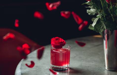 Cocktail Experience
