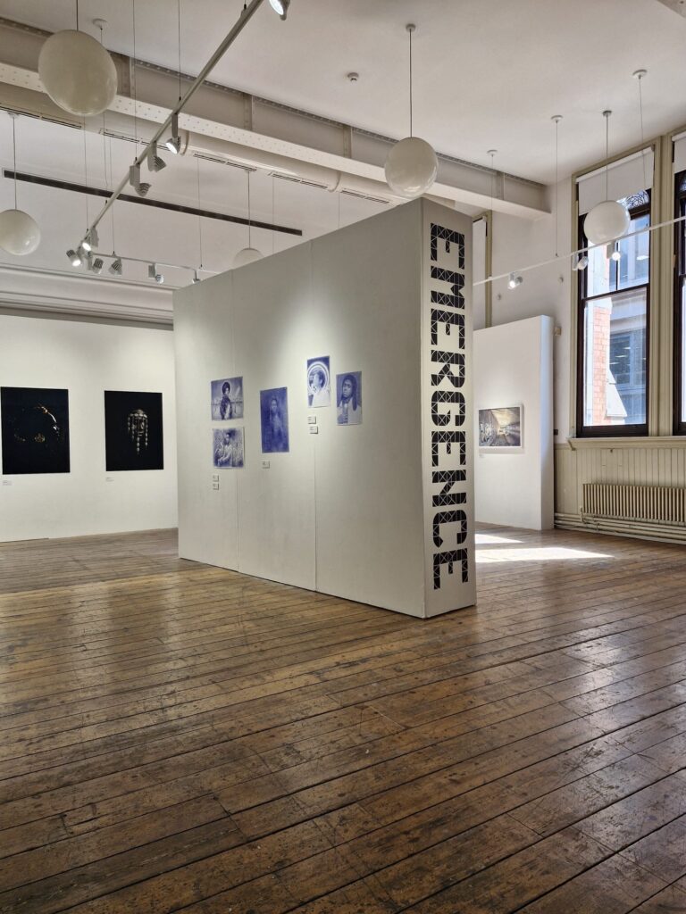 EMERGENCE exhibition