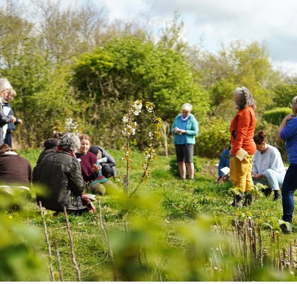 Art Meets Infusion: Reclaiming ‘Truth to Nature'