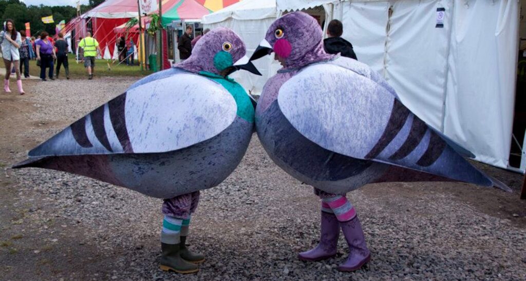 Pigeons!