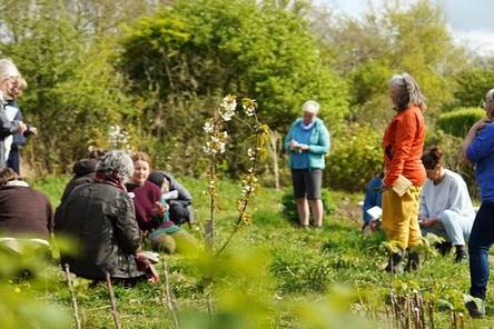 Healing Arts - Art Meets Infusion: Reclaiming ‘Truth to Nature'
