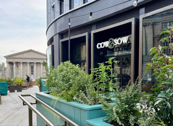 Colmore Next Gen Breakfast Club: Cow & Sow
