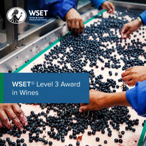 WSET Level 3 Wine Course (5 days)